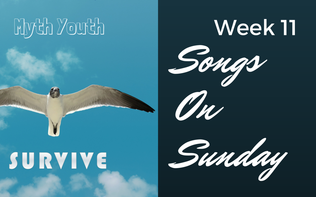 Week 11 – “Survive” by Myth Youth